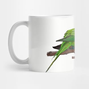 Rainbow Lorikeet_03C Mug